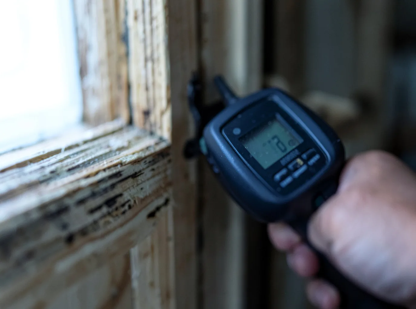 Commercial Water Damage Restoration in Evans, CO